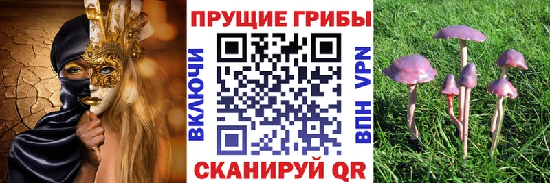 Галлюциногенные грибы Magic Shrooms  закладка  Красноуральск 