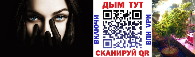 купить   Красноуральск  МАРИХУАНА Amnesia 